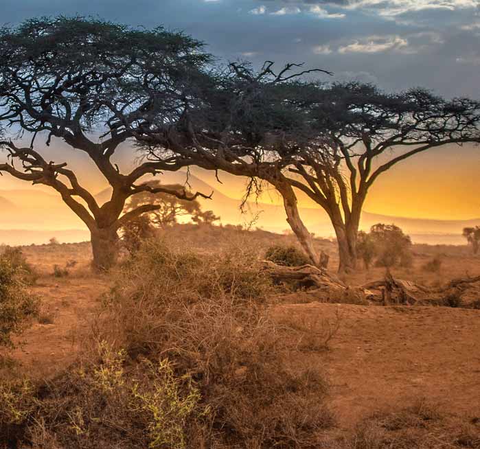 Africká savana při západu slunce